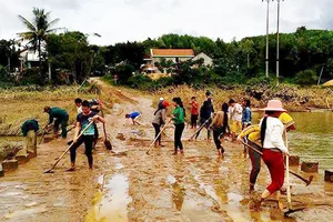 Nên khôi phục việc tổng vệ sinh ở nông thôn