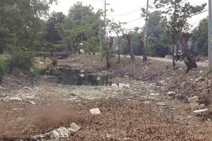 Rạch Ông Đồ nghẽn dòng