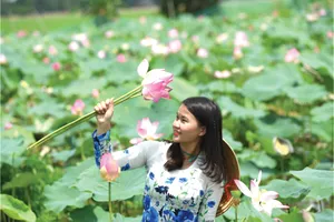 Kết quả phát động phong trào thi đua “Sáng tạo để phát triển” trong Công ty TNHH MTV XSKT Đồng Tháp