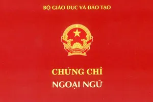 Yêu cầu chứng chỉ ngoại ngữ độc lập khi xét tuyển viên chức