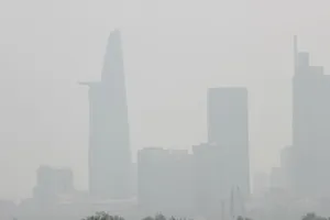 Hãy hành động ngay