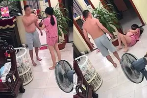 Chế tài hành vi bạo lực gia đình còn quá nhẹ