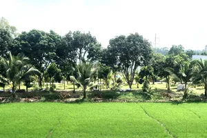 Những thanh âm thân thuộc