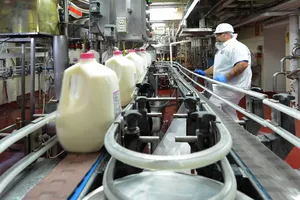 Việc hình thành nhà máy chế biến nông sản giúp nông nghiệp phát triển ổn định hơn 