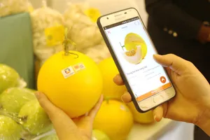 Hỗ trợ truy xuất hàng hóa và phát triển xuất khẩu