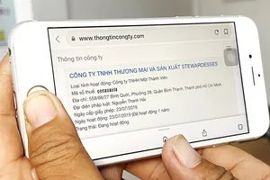 Doanh nghiệp ảo, nhập lậu thật