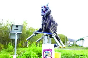 Robot sói phòng gấu hoang