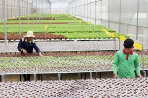 Nông nghiệp bền vững tăng năng suất