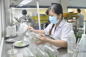 Tự tin tiến bước