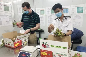 Trái cây Việt được thế giới ưa chuộng  