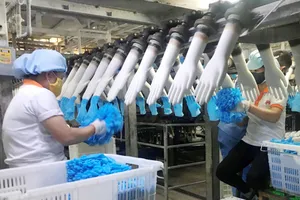 Tay sứ làm khung định hình sản xuất găng tay y tế xuất khẩu tại VRG Khải Hoàn. Ảnh: C.P