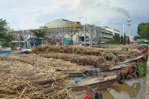 Ngành mía đường ASEAN hội nhập: “Thế giới chưa phẳng”