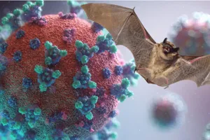 Lập liên minh ứng phó bệnh dịch lây nhiễm từ động vật sang người