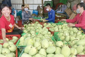 Nông sản miền Tây hút hàng