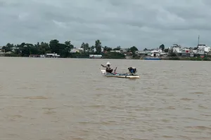 Mực nước trên thượng nguồn sông Tiền khu vực huyện biên giới Hồng Ngự, đỏ đục phù sa, người dân háo hức đón chờ mùa nước nổi. Ảnh: VB