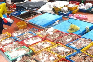 Ngư dân lo mất thị trường