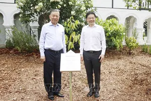 Tổng Bí thư, Chủ tịch nước Tô Lâm và Thủ tướng Lawrence Wong trồng cây tại Vườn Bách thảo Singapore