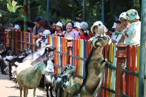 TPHCM: Khu vui chơi, mua sắm thu hút du khách dịp lễ 2-9
