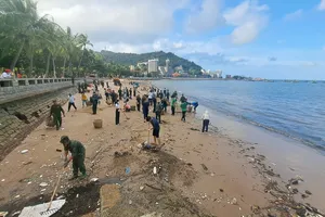 Vũng Tàu ra quan dọn dẹp rác từ đại dương tràn vào các bãi tắm