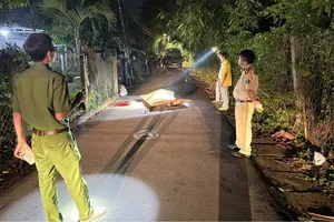 Hiện trường vụ tai nạn giao thông khiến 1 người tử vong tại xã Ngãi Giao, TPHCM