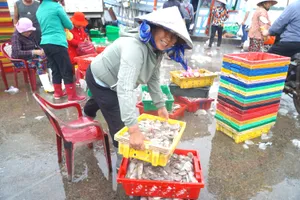 Ngư dân xã Long Hải vui mừng vì đánh bắt được nhiều hải sản có giá trị cao