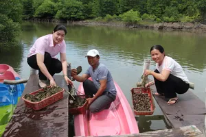 Nhiều mô hình kinh tế hiệu quả từ nguồn vốn tín dụng chính sách