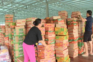 Đồng Nai: Tiếp nhận gần 18 tỷ đồng hỗ trợ đồng bào bị thiệt hại do bão số 10 