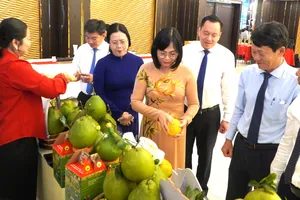 Các đại biểu tại hội nghị