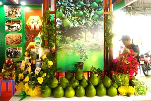 Các mặt hàng nông sản tiêu biểu của tỉnh Đồng Nai