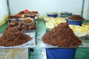 Nguyên liệu đang được chế biến. Ảnh: CA TPĐN