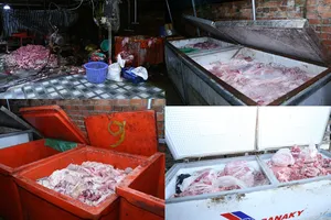 Tang vật trong vụ án đường dây thu mua, giết mổ, tiêu thụ heo bệnh, heo chết. Ảnh: CA TPĐN