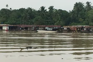 Thi thể một nạn nhân trên sông Đồng Nai