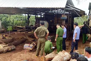 Hiện trường vụ việc