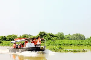 Một tour du lịch khám phá ở huyện Cần Giờ, TPHCM