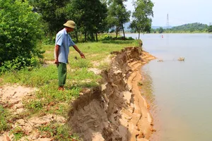 Nhiều diện tích đất ở bãi Soi, xã Tùng Ảnh, huyện Đức Thọ, tỉnh Hà Tĩnh đã bị cuốn sập, sạt lở nghiêm trọng