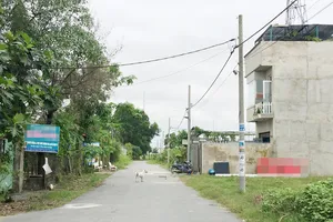 Cùng ở khu dân cư rạch Bà Cua, nhưng có người được xây dựng nhà,  có người phải để đất trống, ở nhà thuê