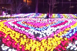 Thảo Cầm Viên Sài Gòn khoác áo mới với hệ thống LED tạo hình