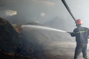 Nguy cơ hỏa hoạn tại các xưởng chế biến gỗ ở Bình Dương