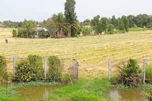 Hàng rào bảo vệ đường cao tốc TPHCM - Trung Lương, đoạn đi qua tỉnh Tiền Giang,  bị phá để làm lối đi vào nhà, làm ruộng