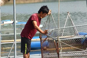 Dựng nghiệp trên “hoang đảo”