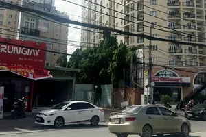 Chung cư “mọc” thêm tầng