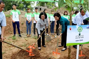 Hơn 100.000 cây xanh được trồng tại Bắc Kạn