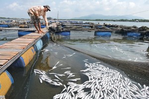 （資料圖來源：互聯網）