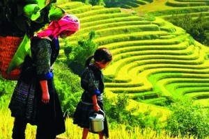 梅州有美麗的梯田。（圖源：互聯網）