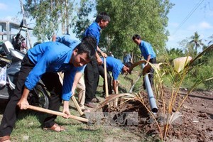 （資料圖來源：越通社）