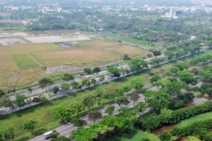 位於阮文靈大道旁側的荒蕪區。（圖源：誠志）