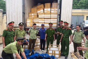 清化省公安經濟警察科查獲非法運載31隻穿山甲。（資料圖來源：環境與生活報網）