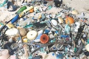 圾垃遍地的亨德森島。（圖源：互聯網）