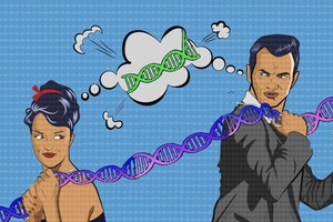 以色列魏茨曼科學研究所分子遺傳學專家 Shmuel Pietrokovski 發現，男與女大約有 6500 個基因不同。（圖源：互聯網）