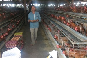 示意圖。（圖源：互聯網）